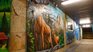 Амбициозни младежи от Смолян облагородяват градската среда и насърчават активното гражданско участие