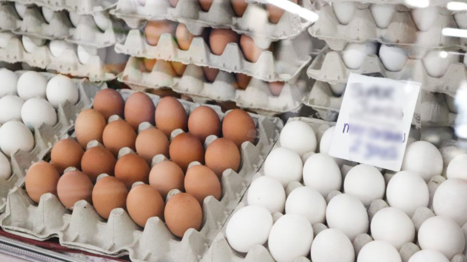 Великденско чудо! Яйца за без пари подлудиха пазара | StandartNews.com