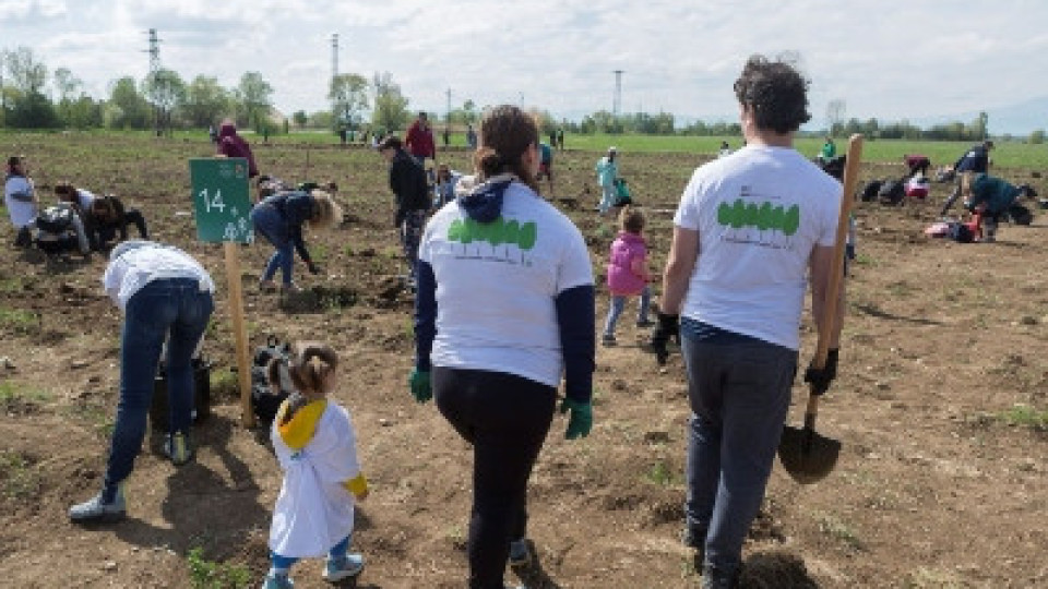 Над 300 доброволци се присъединиха към кампанията „Залесяваме активно“ на Нестле | StandartNews.com
