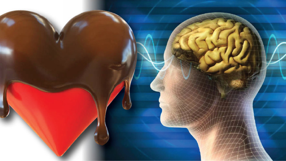Шоколадът - лек за сърцето и мозъка | StandartNews.com