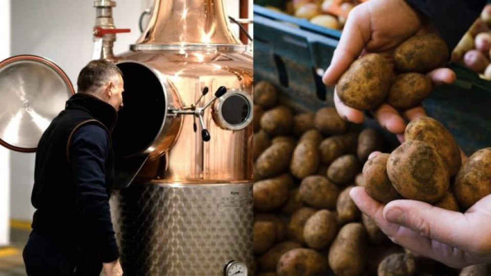 Въвеждат ли сух режим? Британците правят пиячка от картофи | StandartNews.com