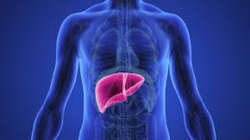 Има ли "безобидни" лекарства и защо увреждат черния дроб | StandartNews.com