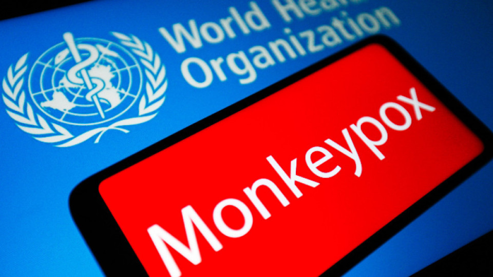 Напразна паника! Не било маймунска треска в Гърция | StandartNews.com