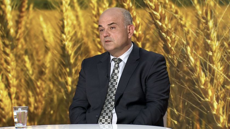 Страх на световния пазар на зърно! Какво ще стори Русия? | StandartNews.com