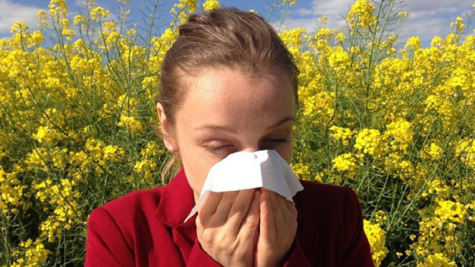 Откриха нова опасност от сезонните алергии, има ли лечение | StandartNews.com