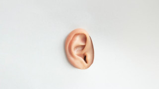 Революция! Присадиха първо 3D отпечатано ухо от човешки клетки