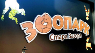 Изцяло обновеният зоопарк в Стара Загора отваря врати на 24 юни