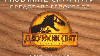 Пясъчният фестивал отваря врати за посетители утре