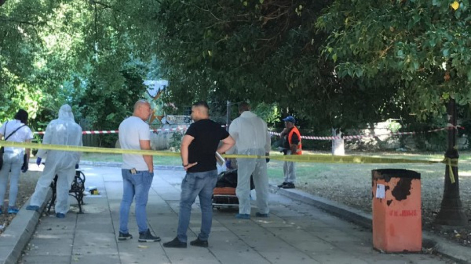 Мистериозно убийство пред Археологическия музей във Варна | StandartNews.com