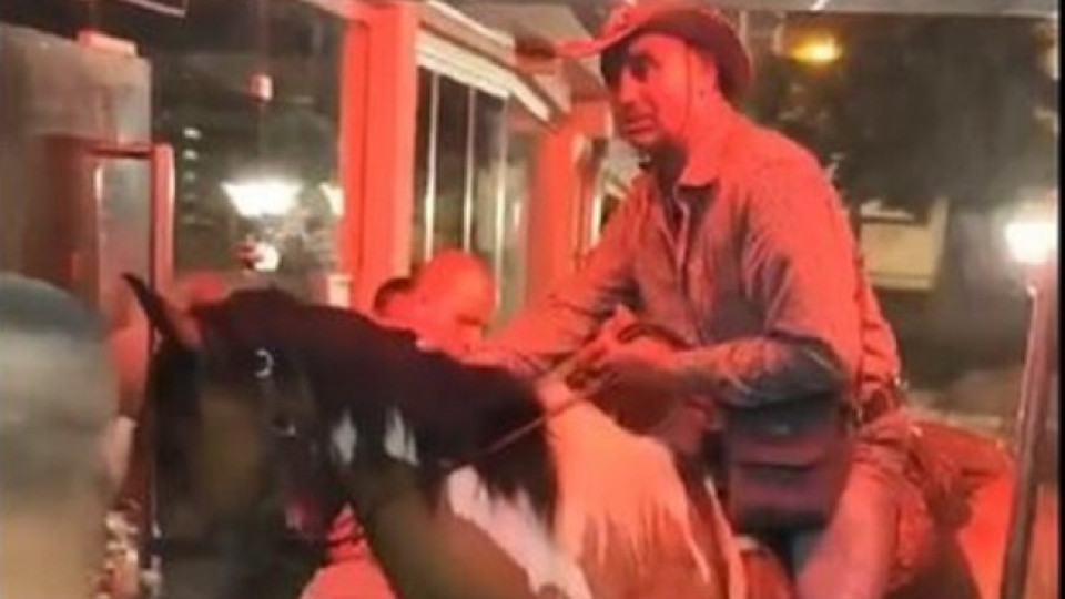 Чудо невиждано в дискотека. Мъж влезе с коня си (ВИДЕО) | StandartNews.com