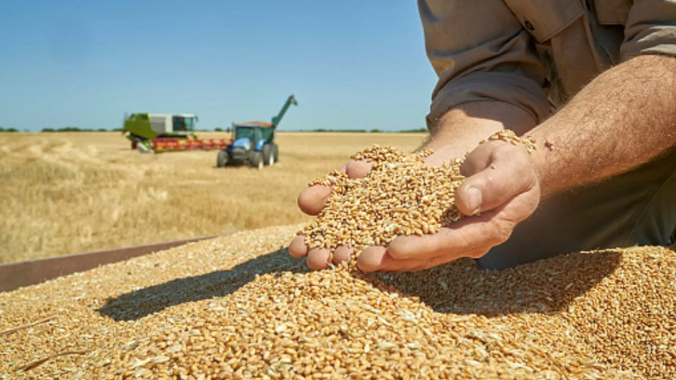 Земеделският министър не вижда проблем с украинското жито | StandartNews.com