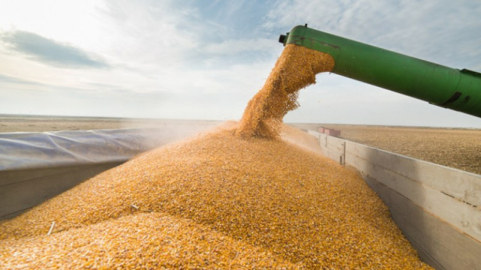 Русия и Украйна се спогодиха за зърното | StandartNews.com