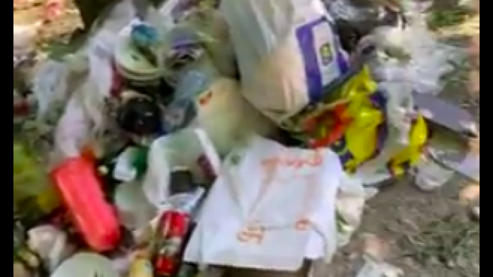 Безобразие! Планина от боклук на Витоша | StandartNews.com