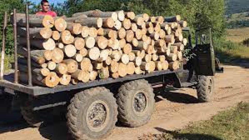 Българите се запасяват с дърва за огрев. Цената двойна | StandartNews.com