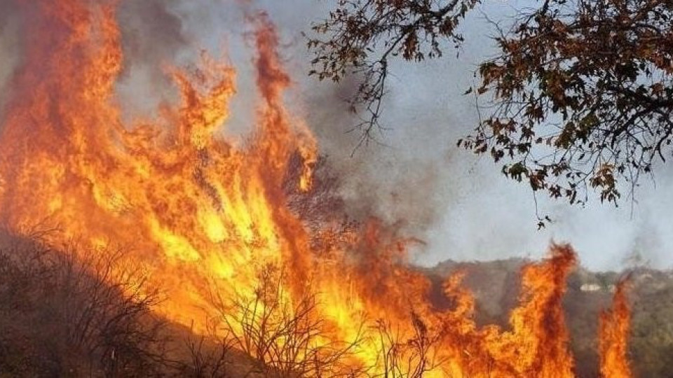 Огненият ад се разраства! Горят къщи в село край Любимец | StandartNews.com