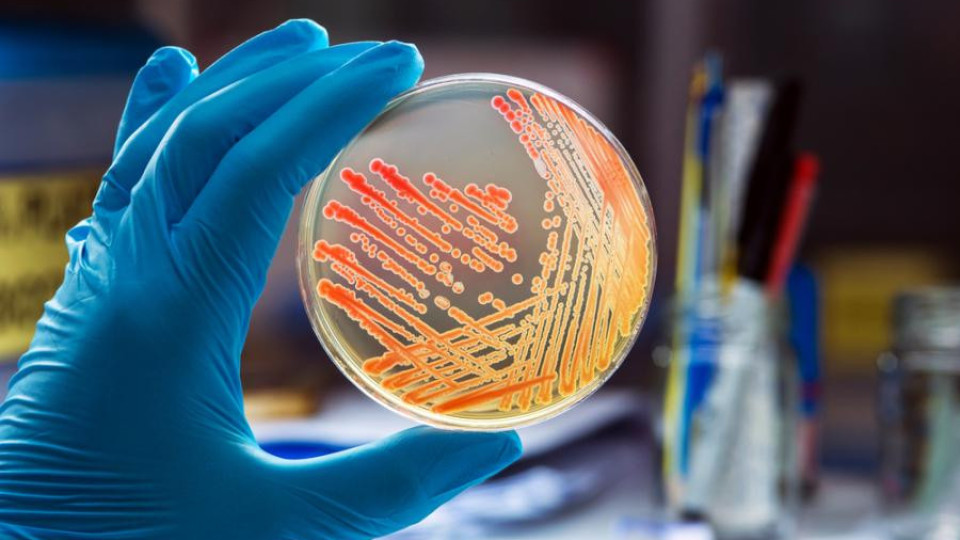 Молекула се бори с над 300 вида резистентни на лекарства бактерии | StandartNews.com
