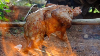 Пожар изпече живи хиляди пилета край Враца