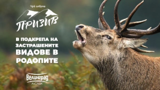 Редица животински видове в Родопите са пред изчезване