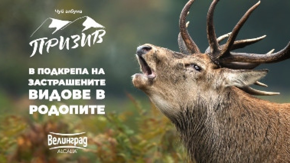 Редица животински видове в Родопите са пред изчезване | StandartNews.com