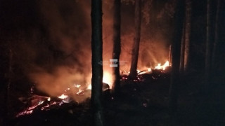 Пожар в казанлъшкия парк "Тюлбе"