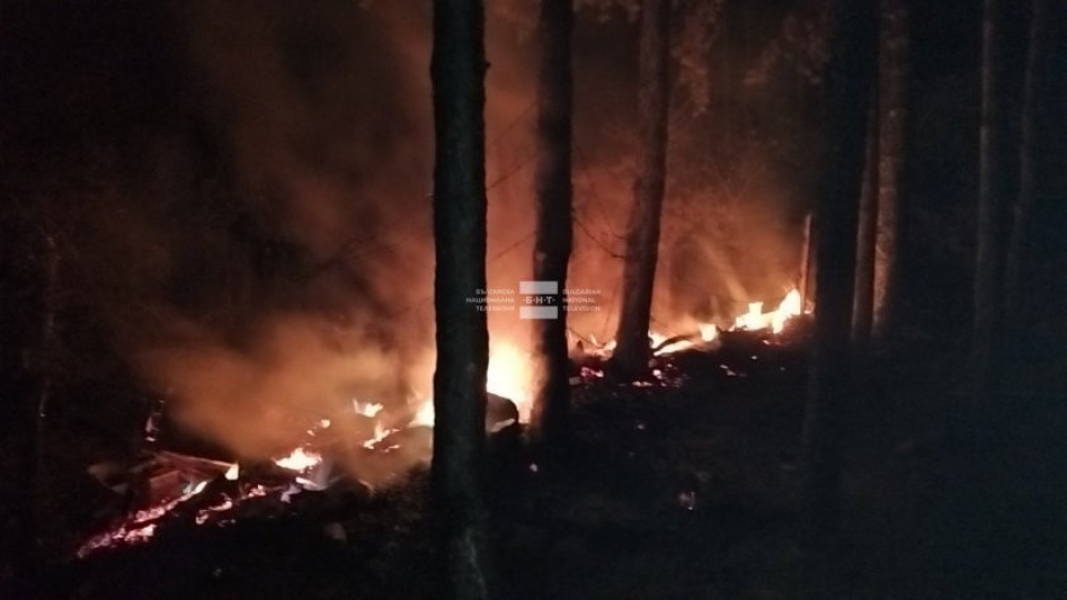 Пожар в казанлъшкия парк "Тюлбе" | StandartNews.com