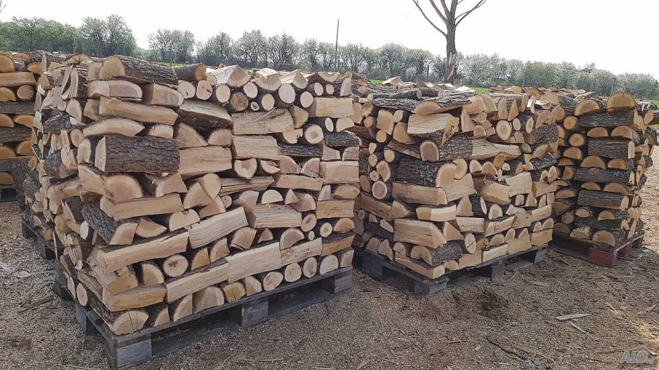 Изненада! Къде раздават безплатни дърва за огрев | StandartNews.com