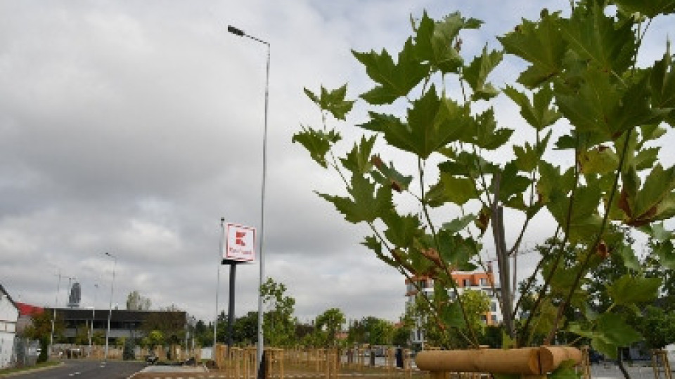 Kaufland отваря „зелен“ хипермаркет в столичния квартал Горубляне | StandartNews.com