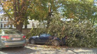 Страховит вятър и в Русе, кога ще стихне бурята