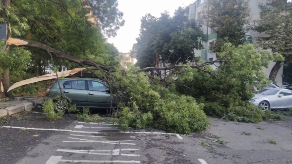 Апокалипсис в Бургас, страшна разруха след урагана | StandartNews.com