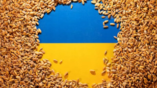Ето колко тона зърно и селскостопанска продукция е изнесла Украйна