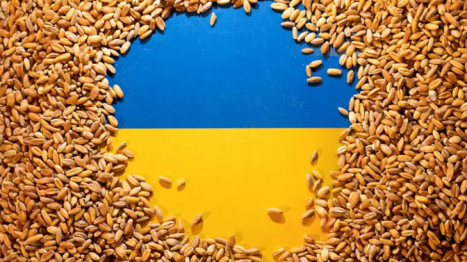 Ето колко тона зърно и селскостопанска продукция е изнесла Украйна | StandartNews.com