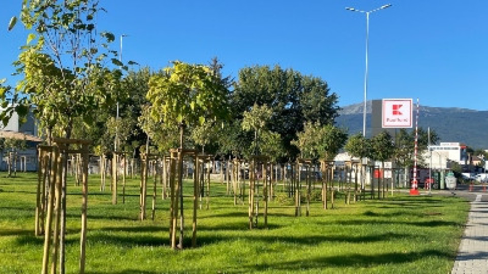 Kaufland изгради парк с над 300 нови дървета в кв. „Горубляне“ | StandartNews.com