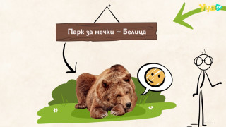 Кафявите мечки и ПАРК ЗА МЕЧКИ - Белица са на фокус в третото видео на ЧЕТИРИ ЛАПИ и Уча.се