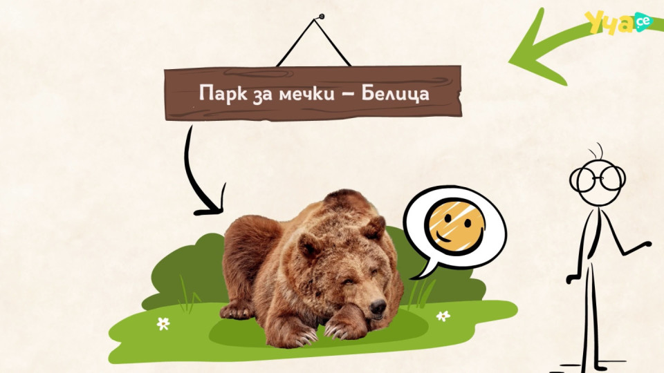 Кафявите мечки и ПАРК ЗА МЕЧКИ - Белица са на фокус в третото видео на ЧЕТИРИ ЛАПИ и Уча.се | StandartNews.com