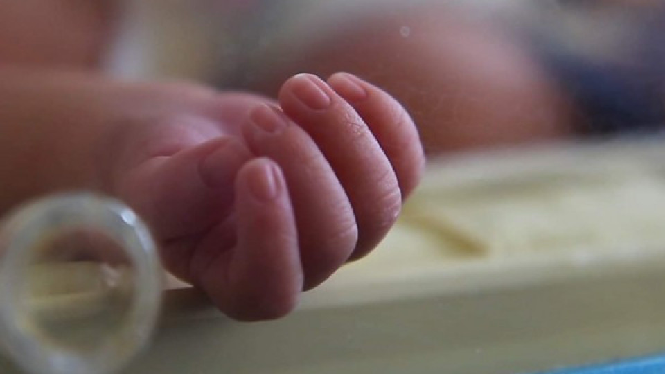 Луда ли е осиновителката на нахапаното бебе в кома? | StandartNews.com