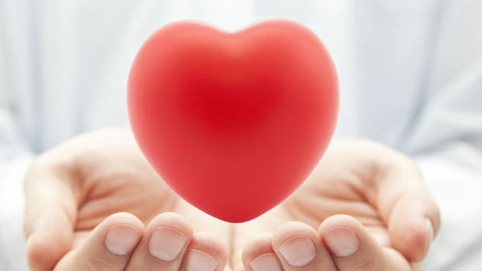 Кардиолози с инициатива за превенция на сърдечната недостатъчност | StandartNews.com