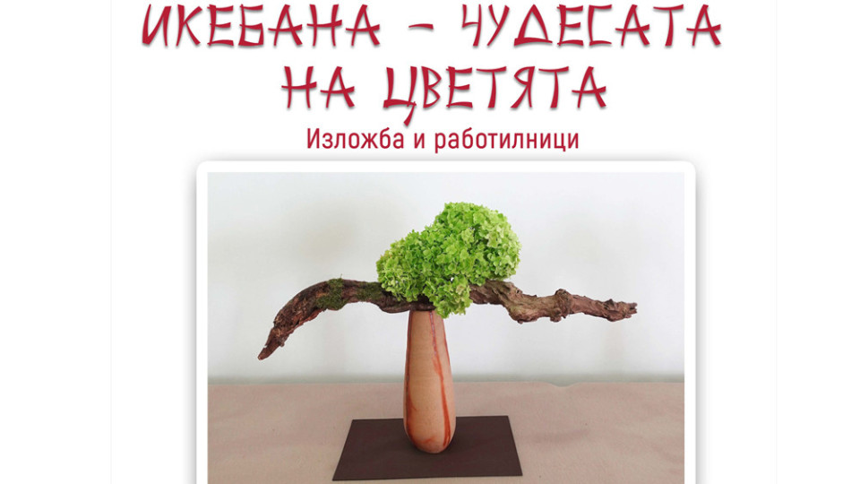 „Икебана и Чудесата на цветята“ идва в Стара Загора | StandartNews.com