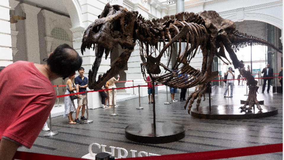 Абсурдът продължава! Екоактивисти нападнаха скелет на динозавър | StandartNews.com