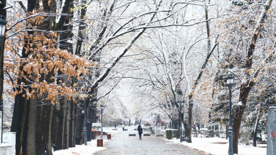 Първи сняг в София! Къде падна? | StandartNews.com