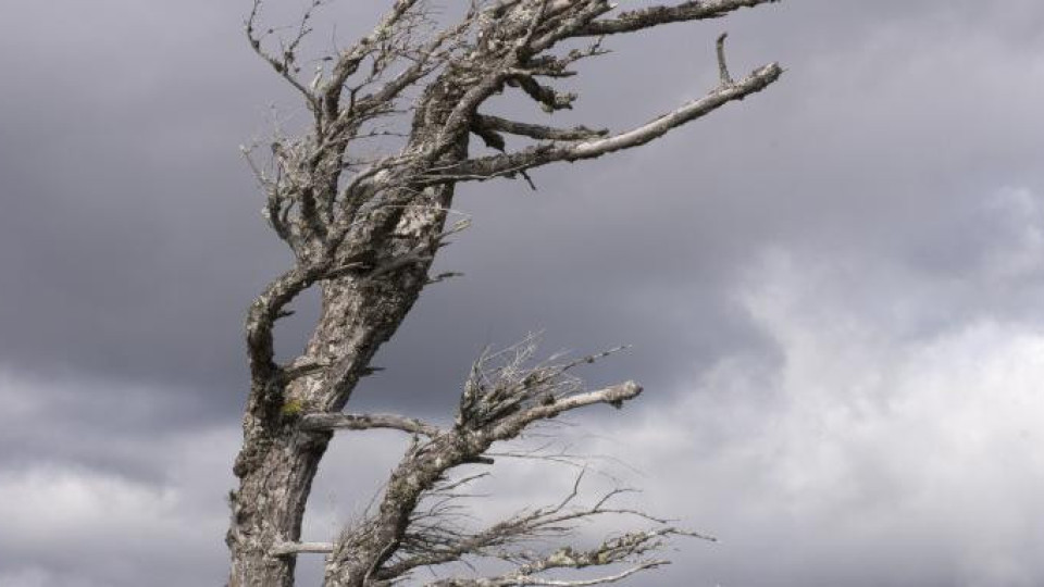 Метеоролози бият тревога. Иде опасно време! | StandartNews.com