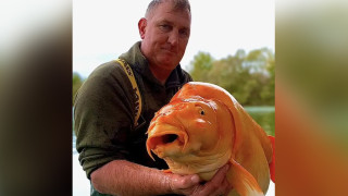Рибар събра очите на колегите, хвана огромна златна рибка (СНИМКИ)