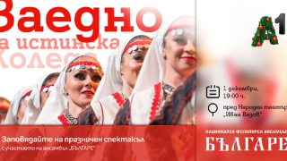 Столична община организира тържествено запалване на коледната елха пред Народния театър