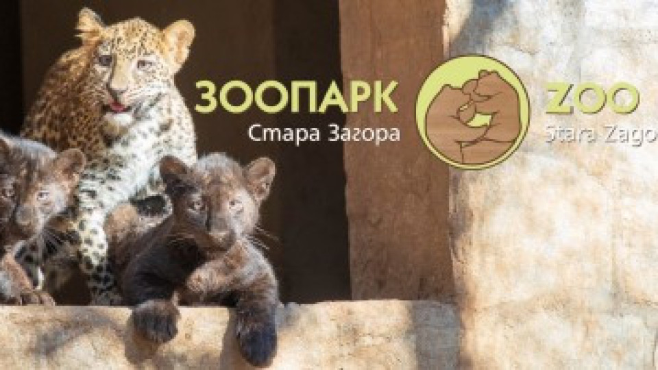 Зоопарк Стара Загора с номинация за Годишните награди за туризъм | StandartNews.com