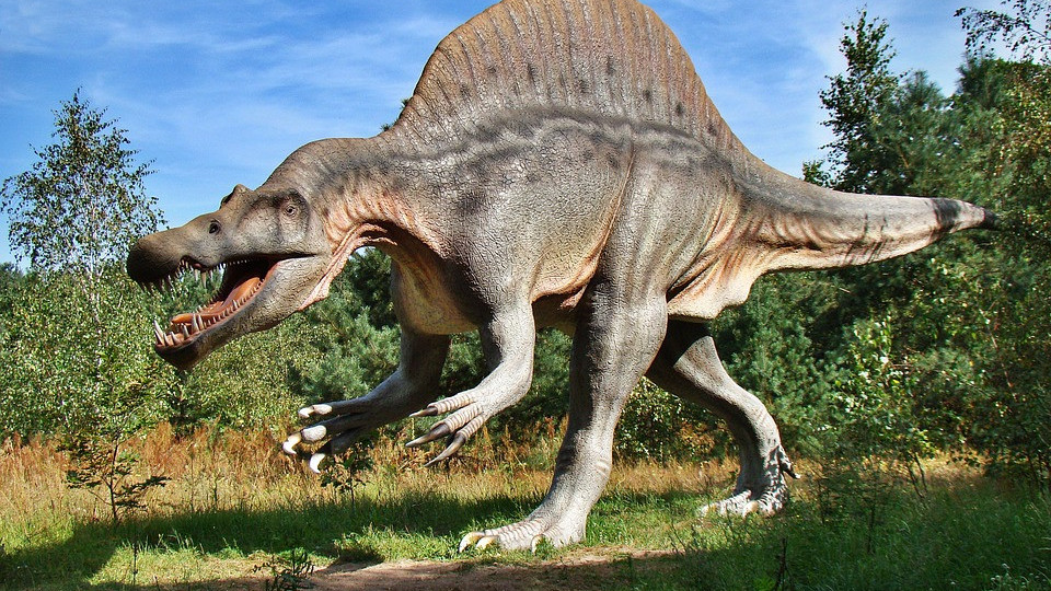 Разкриха нови тайни за диетата на динозаврите | StandartNews.com