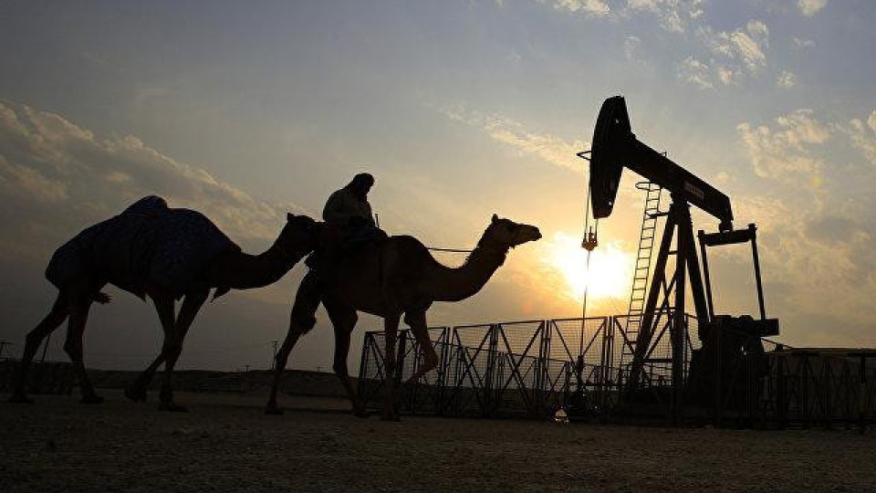 Петролът с твърда цена. Добивът под въпрос | StandartNews.com