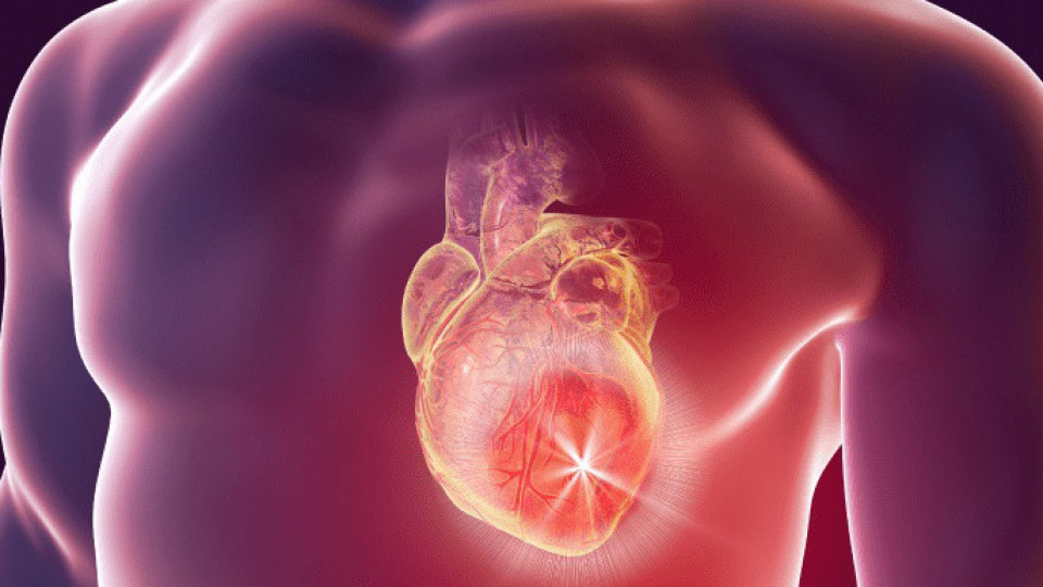 Има ли рак на сърцето? Истината от топ кардиолог | StandartNews.com