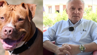 Ужас! Как два звяра убиха сръбски журналист