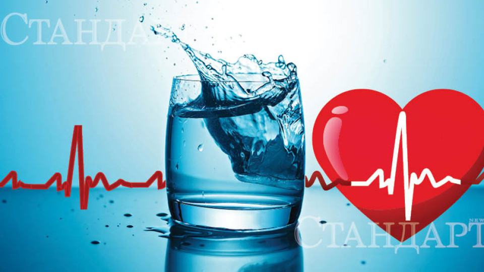 Защо трябва да пием поне 1,5 л вода на ден | StandartNews.com
