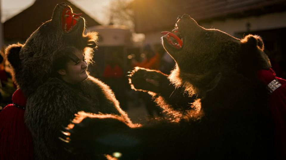 Уникален фестивал събира туристи. Танцуват мечки | StandartNews.com