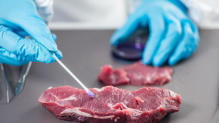 Възможно ли е екологично чисто производство на месо